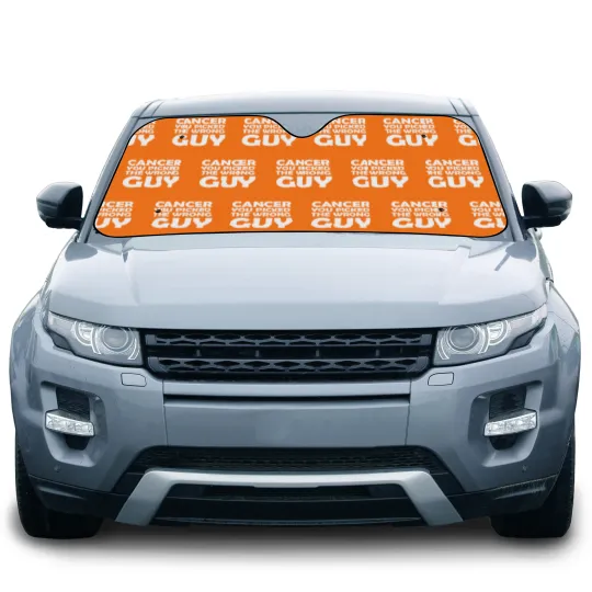 Discover Cancer You Picked The Wrong Guy Chemo Gift Car Sun Shades