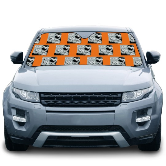 Discover PIZZA Premium Matte Vertical Poster Car Sun Shades