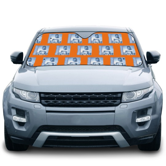 Discover Vintage Morrissey The Smiths Band Car Sun Shades