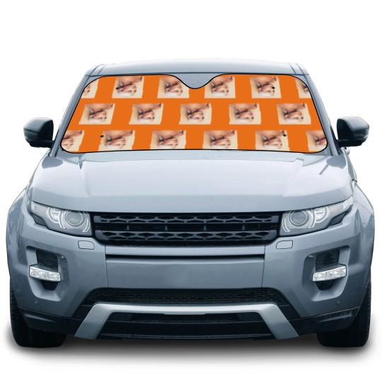 Discover Ariana Sweetener Inspired Graphic Car Sun Shades