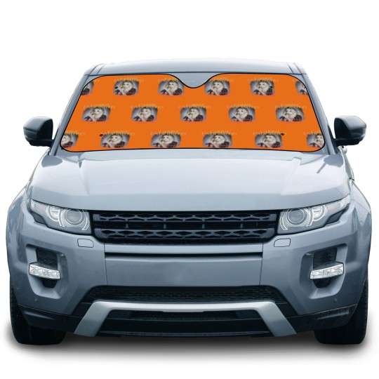 Discover Carrie Underwood Car Sun Shades