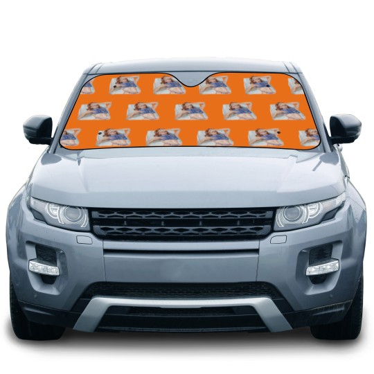 Discover Funny Story by Emily Henry book Car Sun Shades