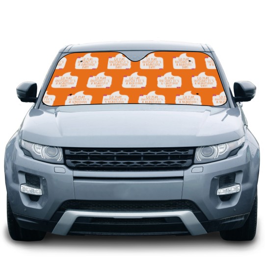 Discover Go play outside! It's a beautiful day Car Sun Shades