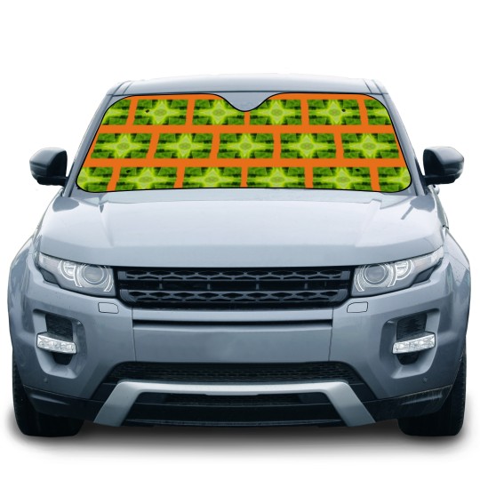 Discover ABSTRACT PAINTED GEOMETRIC ART BREADFRUIT PATTERN. Car Sun Shades
