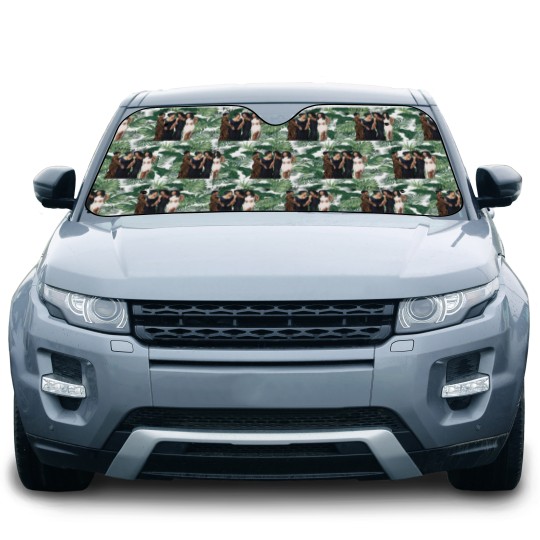 Discover Waiting To Exhale White Unisex Car Sun Shades, Friendly Car Sun Shades