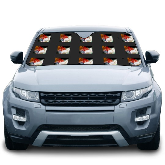 Discover wisdom Car Sun Shades