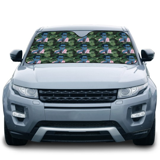 Discover Summertime Thrawn Car Sun Shades