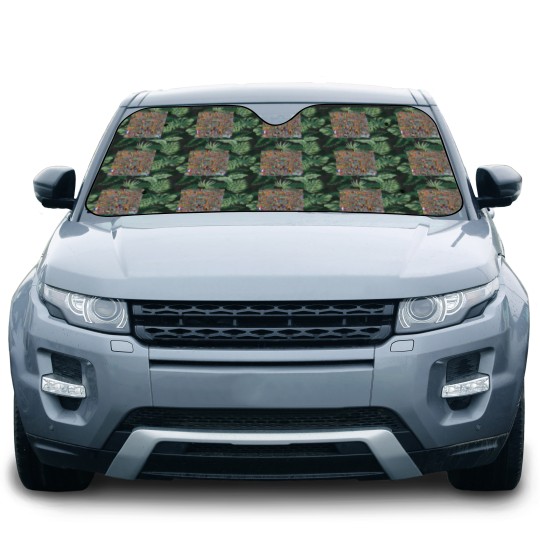 Discover 8K R Place 2022 Atlas Final Image Car Sun Shades