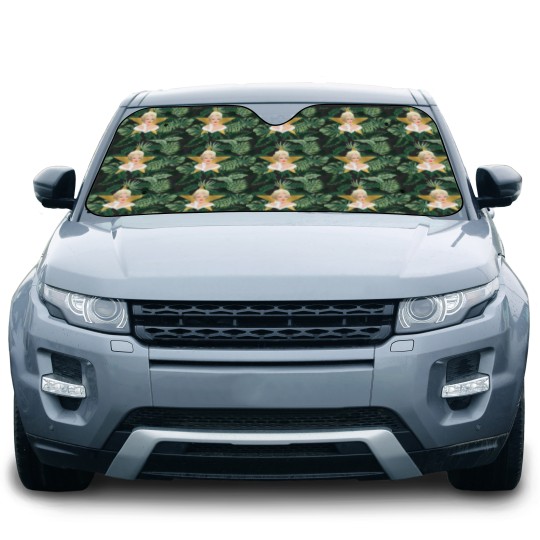 Discover Star Fever Car Sun Shades