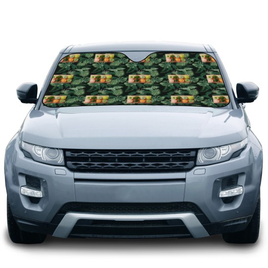 Discover 1063 Citrus Symphony Smoothies Car Sun Shades