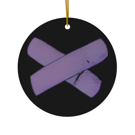 Discover Guts | Guts Tour | Olivia | Rodrigo Ceramic Ornaments
