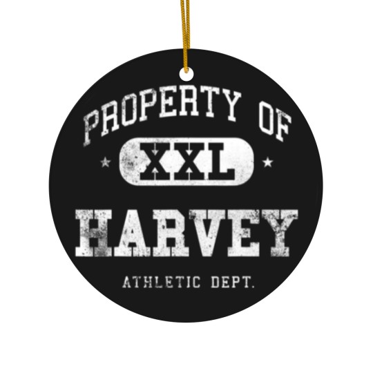 Discover Harvey Property XXL Sport College Athletic Funny Ceramic Ornaments