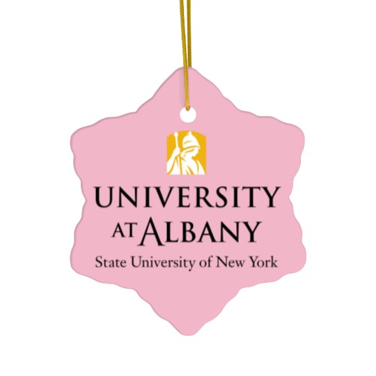Discover University at Albany of american university Ceramic Ornaments