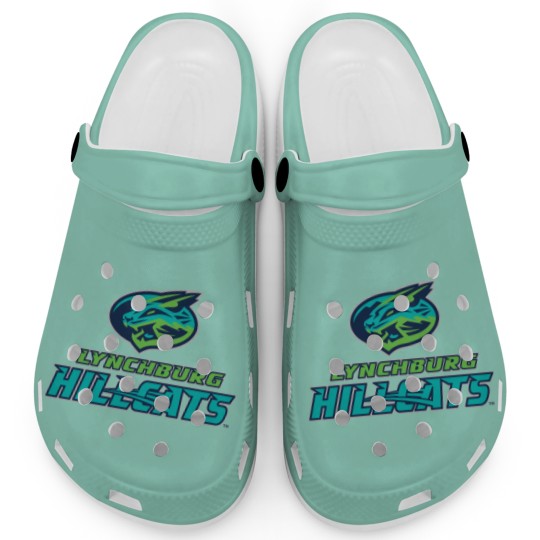 Discover Lynchburg-Hillcats_Baseball Clogs