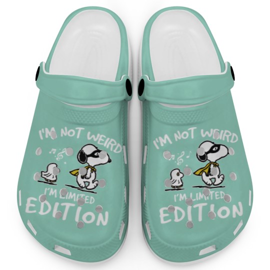 Discover Limited Edition Snoopy Clogs