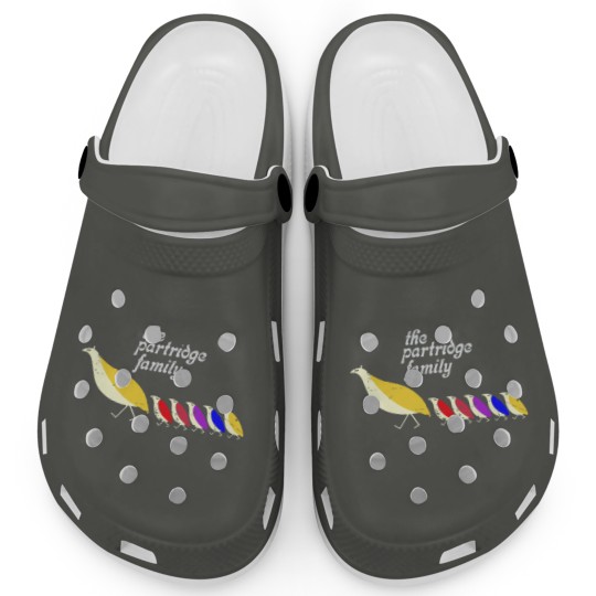 Discover The Partridge Family Clogs