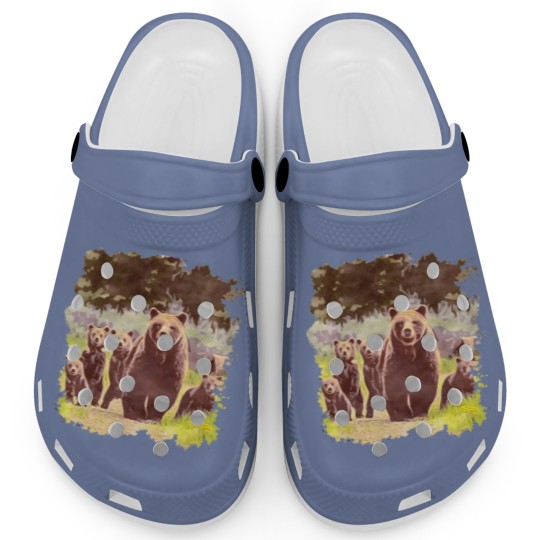 Discover Grizzly 399 And Quad Clogs