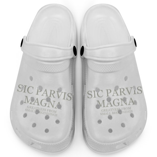 Discover Greatness From Small Beginnings - Light Clogs
