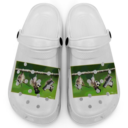 Discover the Awesome Possums t Clogs