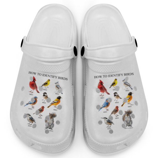 Discover Bird Clogs, How to Identify Birds Clogs