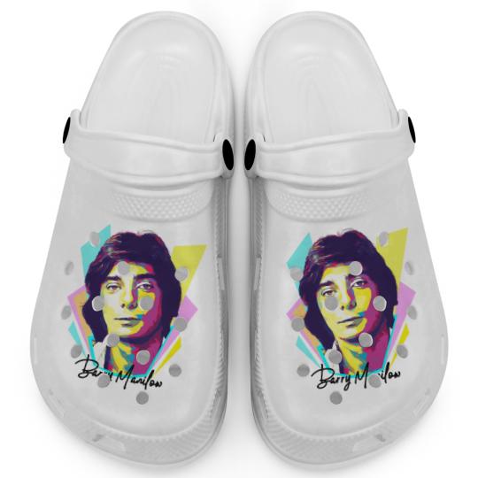 Discover Wpap Pop Art Baraaary Manilow Clogs