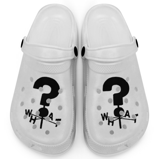 Discover Gravity Falls Clogs