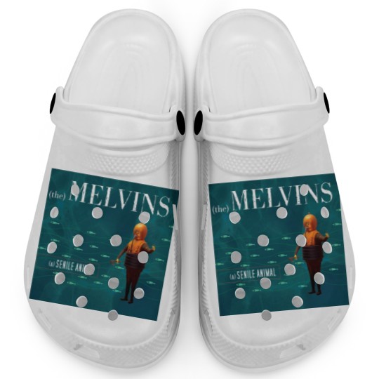 Discover A senile animal Clogs