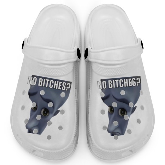 Discover No Bitches Meme Megamind Burtons Clogs