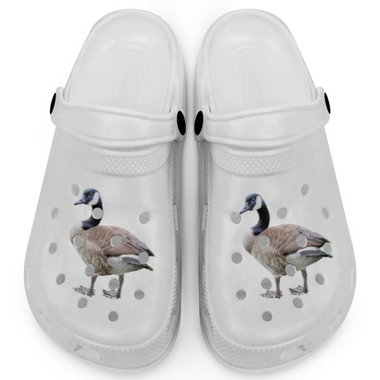 Discover Goose Whisperer Love My Goose Flock of Geese Bird Lover Clogs