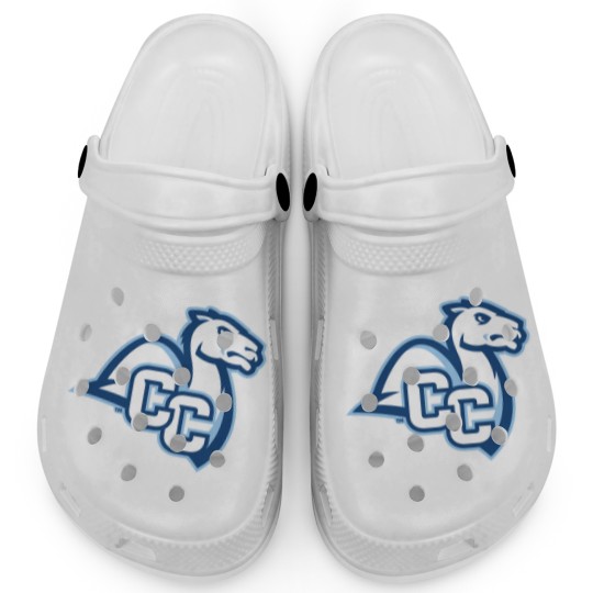 Discover Connecticut College camel athletics gifts souvenirs Clogs