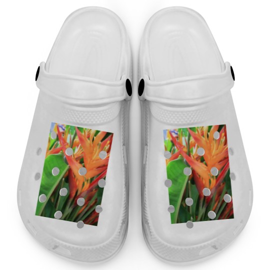 Discover Brilliant Tropical Heliconia Florals Clogs