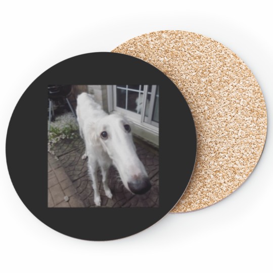 Discover Long Nose Dog Coasters
