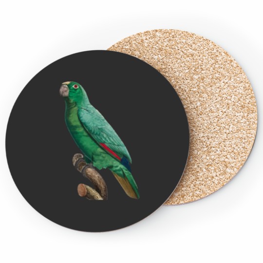 Discover Cute Bird 2 jimmy buffett to p sellin g widodo ganteng transparent Coasters