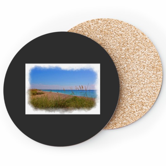 Discover Boca  Beaches Coasters