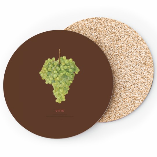 Discover Grape or Vitis Coasters