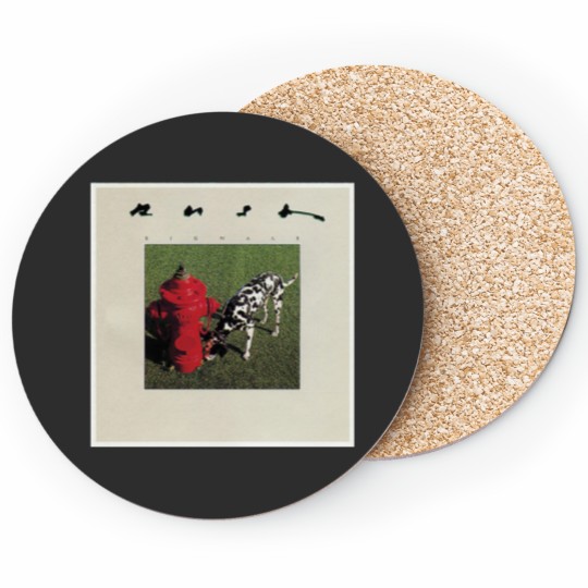 Discover SIGNALS Active Coasters
