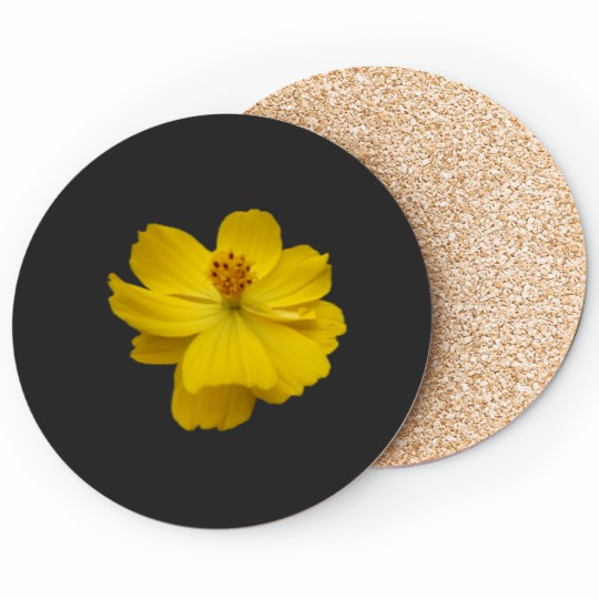 Discover beautiful flower in yellow, summer, sun Classic Coasters