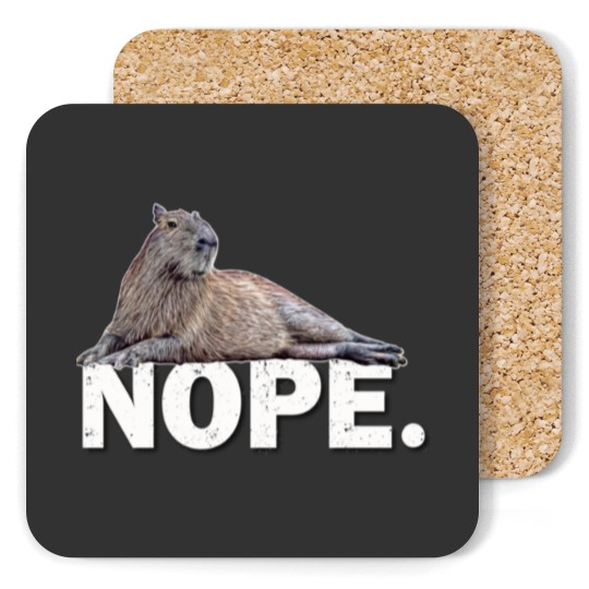 Discover Capybar a Coasters