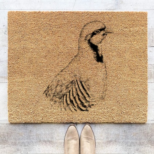 Discover Chukar partridge animal portrait (bright products) Coir Doormats