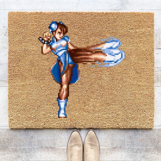 Discover Chun Li Coir Doormats