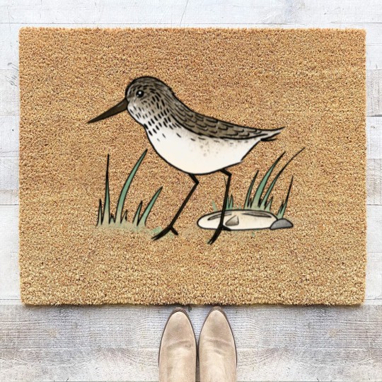 Discover Sandpiper Coir Doormats