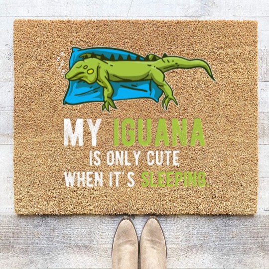 Discover Lazy Pet Reptile Lizard Animal Sleeping Iguana Coir Doormats