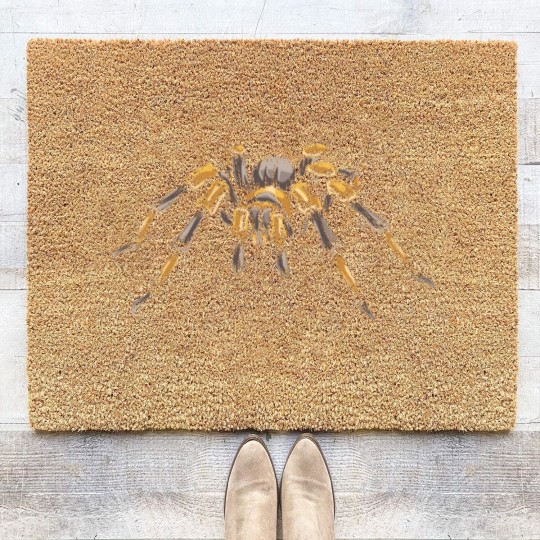 Discover Tarantula Coir Doormats