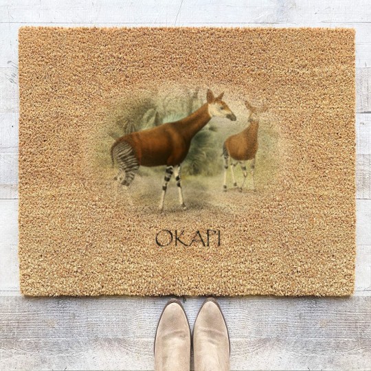 Discover Okapi Mom And Baby Zebra Giraffe Wild Forest Lover Coir Doormats