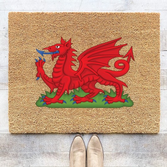 Discover Wales Red Dragon National Flag Symbol Coir Doormats
