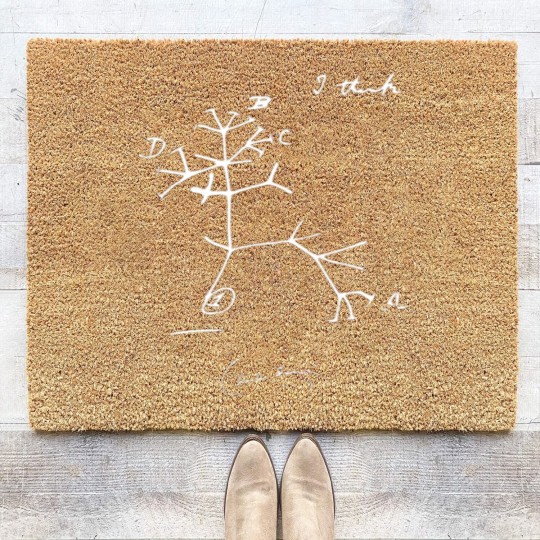 Discover Charles Darwin Evolutionary Tree of Life I Think Coir Doormats