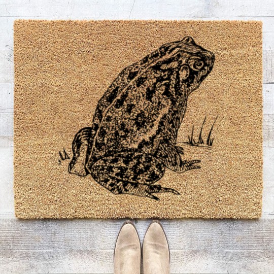 Discover Toad 2 Coir Doormats, Toad 2 Coir Doormats