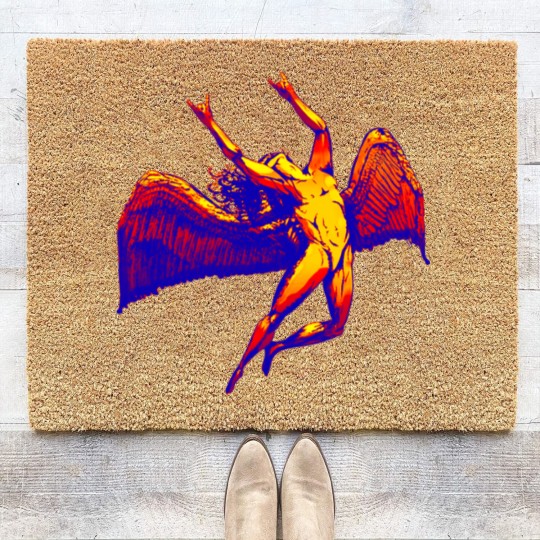 Discover Metal Icarus Coir Doormats