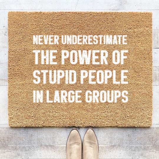 Discover Never Underestimate The Power Of Stupid People Coir Doormats