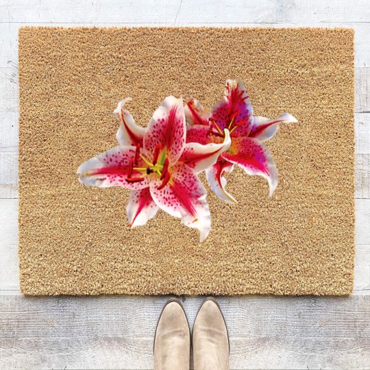 Discover Stargazer Lily Pair Coir Doormats